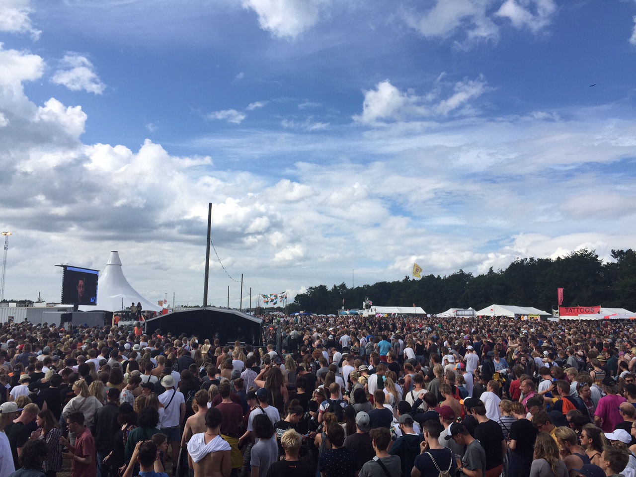 Close-up of our findings wall